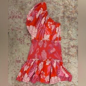FARM RIO One-Shoulder Red and Pink Floral Dress